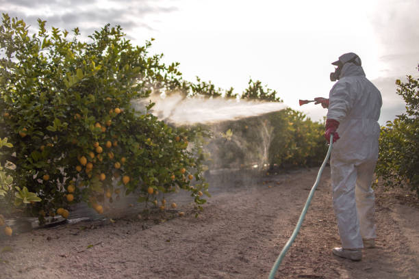 Best Affordable Pest Control Services  in Youngsville, NC