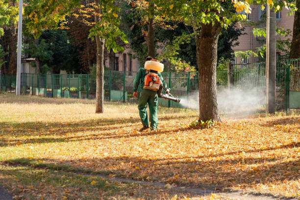 Best Pest Removal Services  in Youngsville, NC